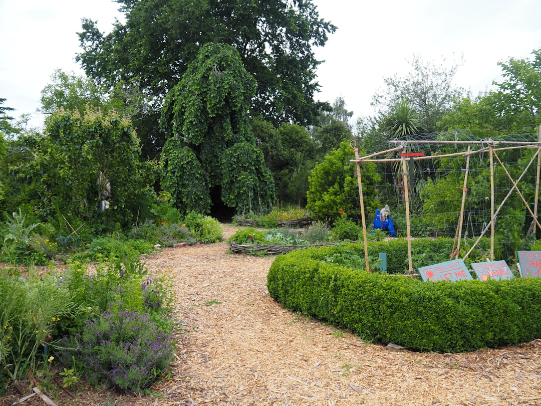 Photo creative vegetable garden